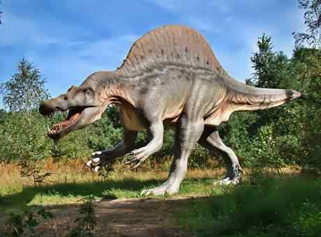 Interesting Dinosaur Facts In Hindi, dinosaur in hindi