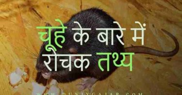 Animals In Hindi | जानवरों के बारे में रोचक तथ्य और जानकारियाँ