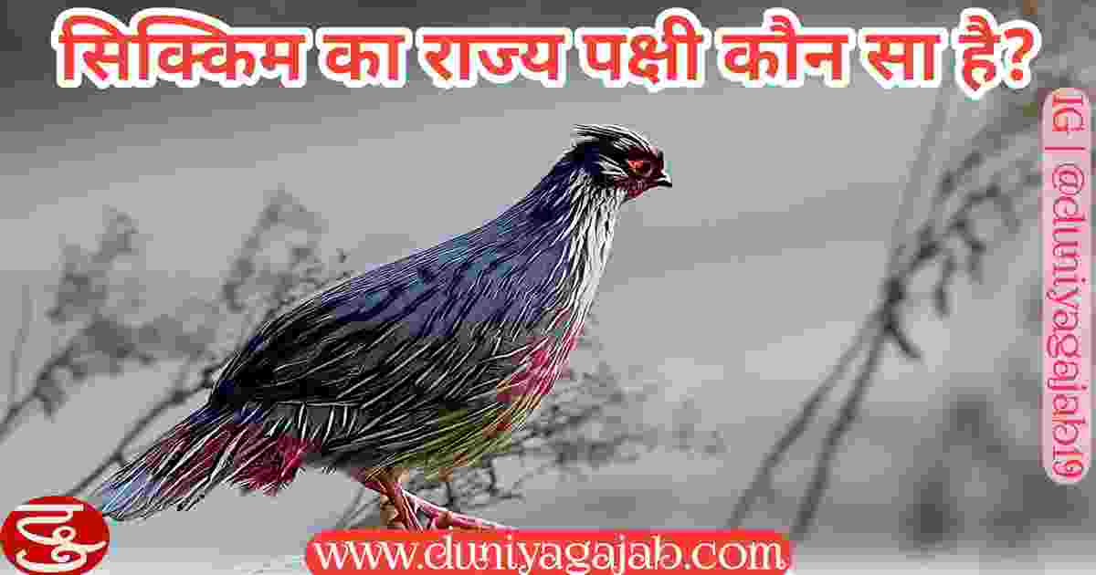 State Bird Of Sikkim In Hindi