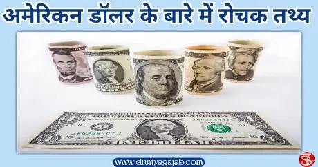 American Dollar Facts In Hindi 
