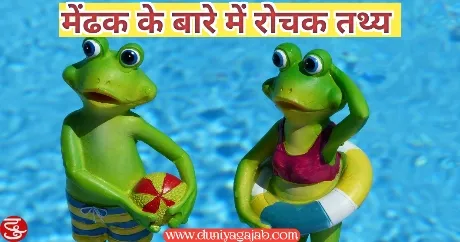 Facts About Frog In Hindi 