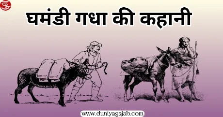 The Arrogant Donkey Story In Hindi 